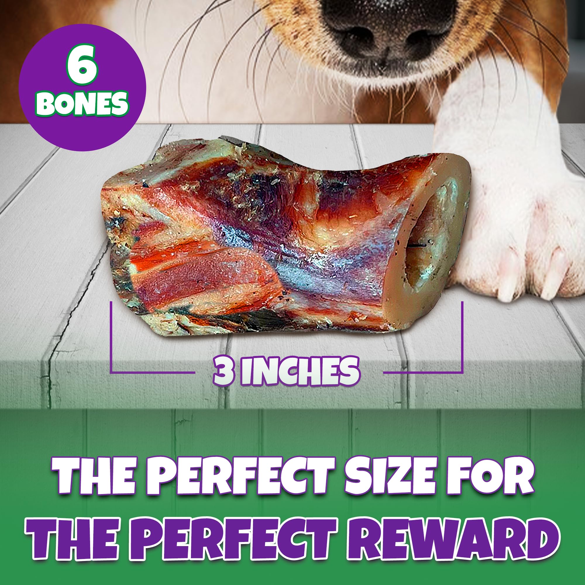 Lively Tails Marrow Bones long-lasting chew offering satisfying engagement.
