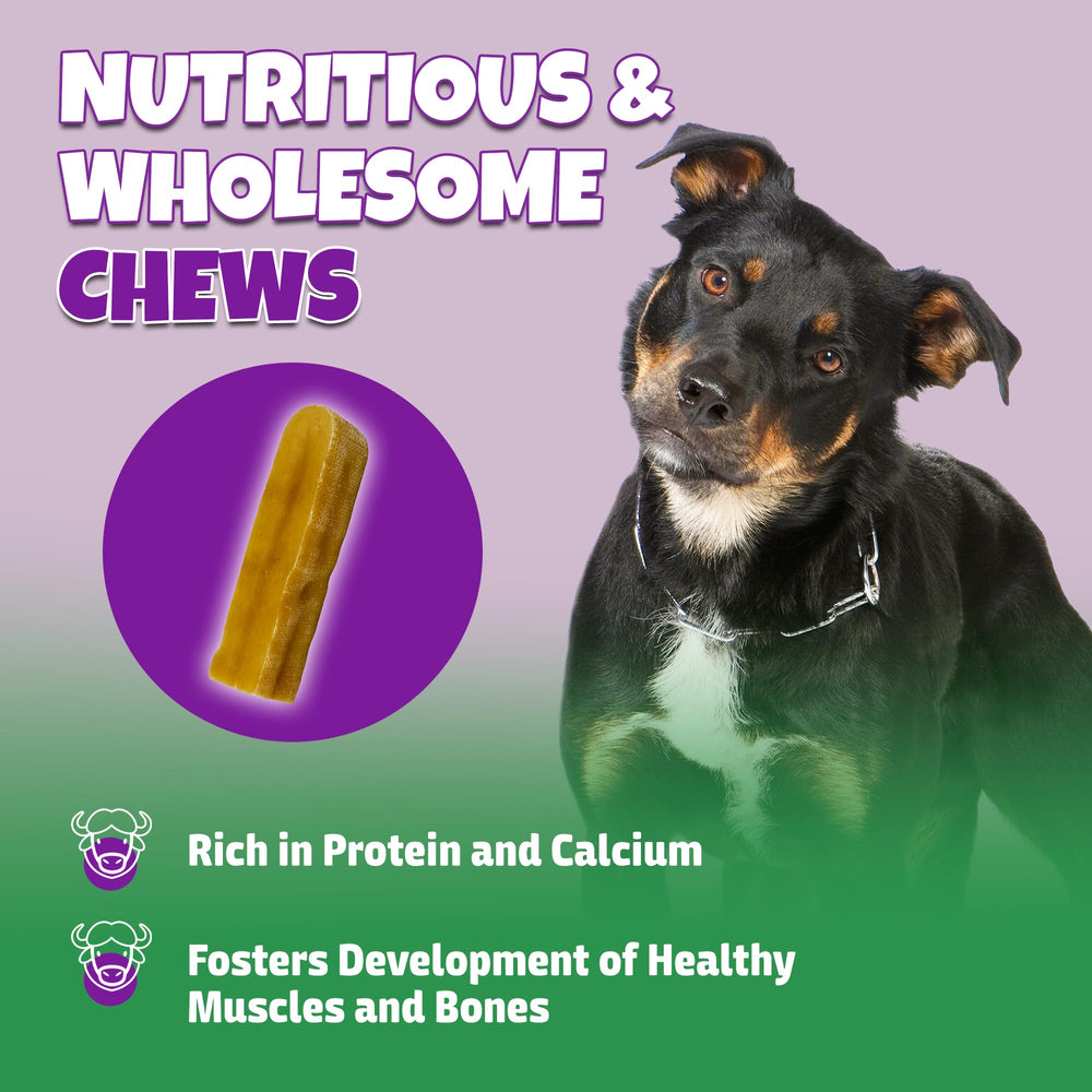 Lively Tails odorless yak chew for dogs emphasizes a minimal scent during play.
