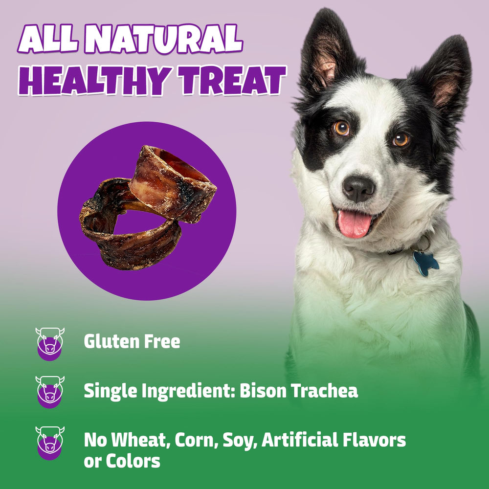 Lively Tails Trachea chews bag close-up highlighting 100% bison meat.