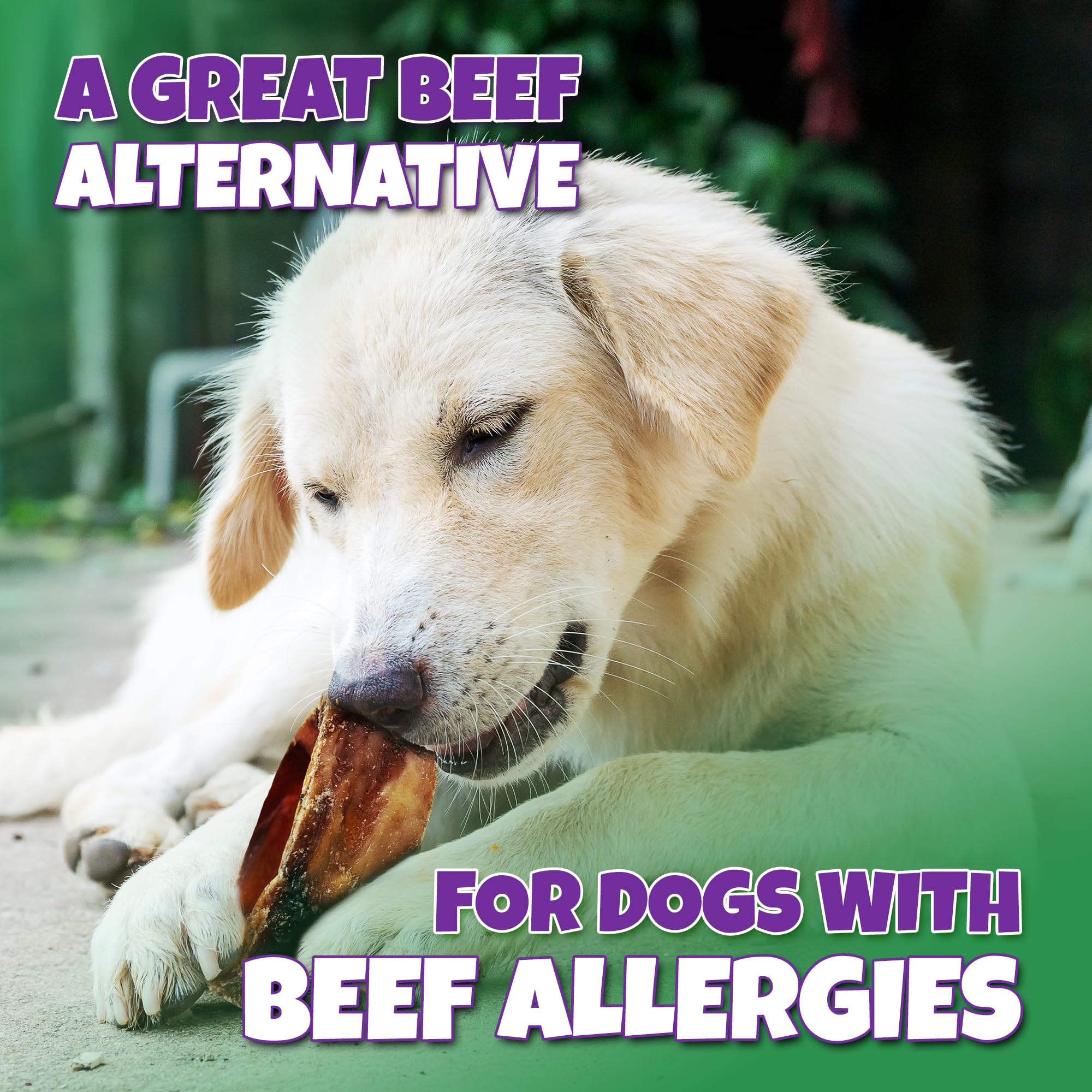 Lively Tails Trachea chews used as a training reward for dogs.