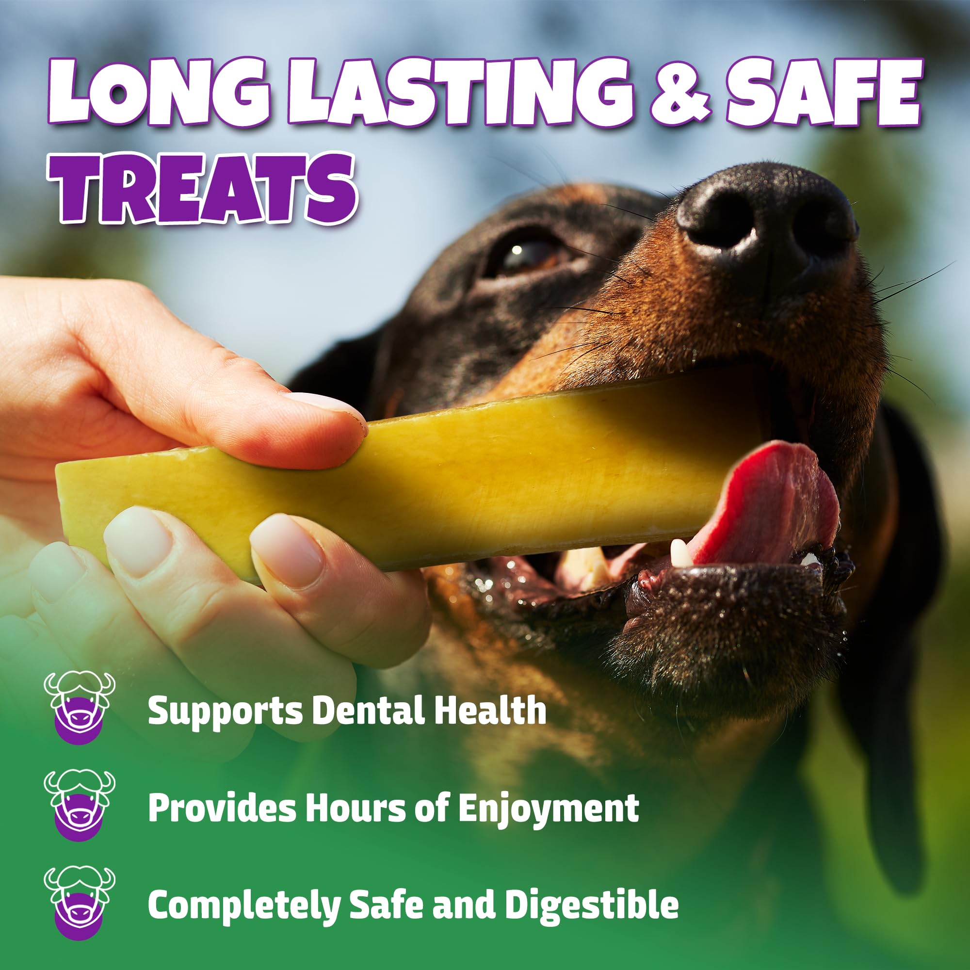 Lively Tails yak cheese chew closeup highlights protein-rich formula for healthy muscles.