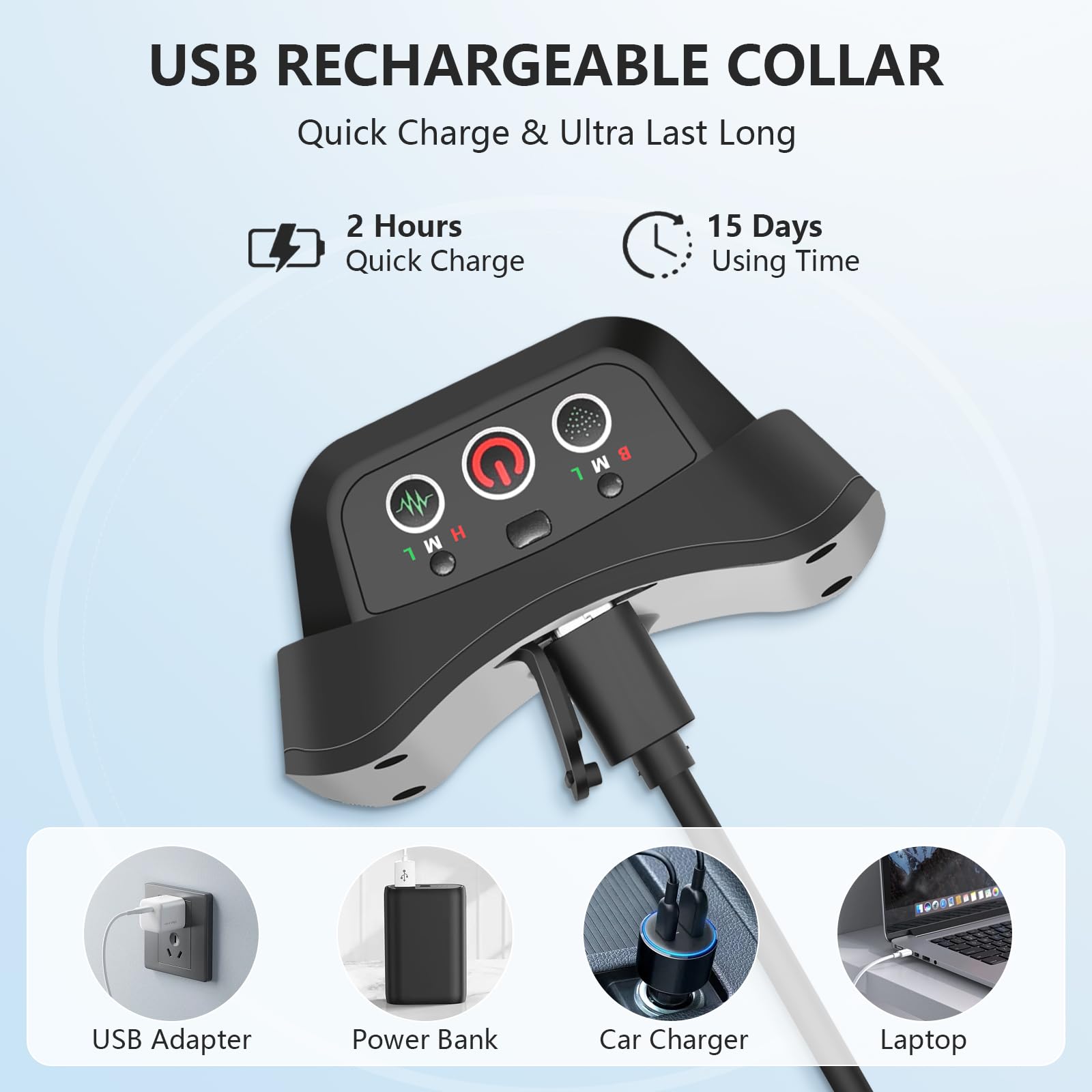 LivelyLeap dog wearing collar outdoors illustrates everyday training use.