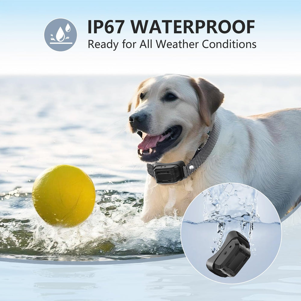 LivelyLeap IP67 waterproof badge indicates durable all-weather performance.