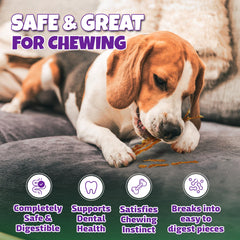 Lively Tails natural ingredients – human-grade, no glycerin – for mindful snacking.