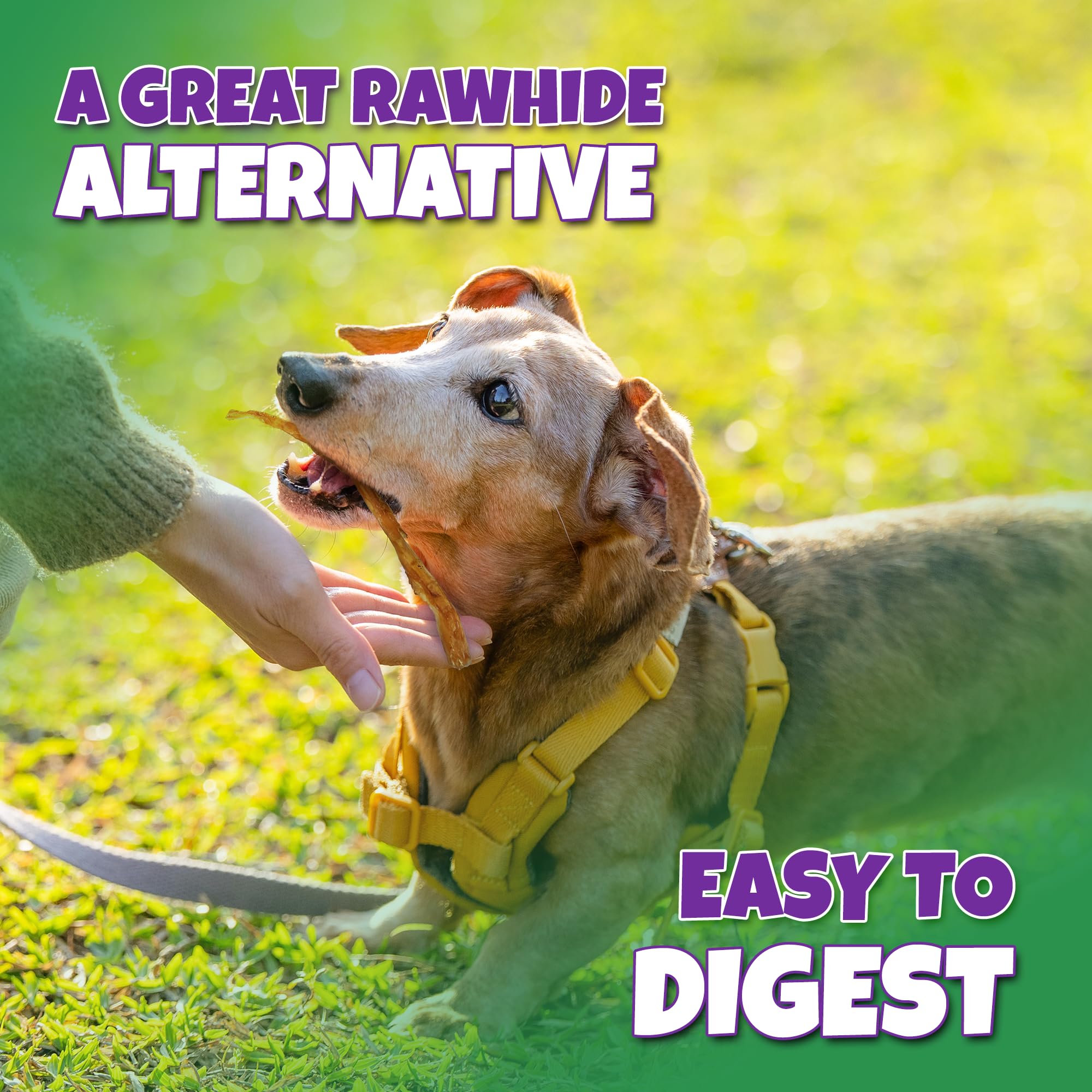 Lively Tails dog treat closeup – real turkey flavor boosts natural rewards during training.