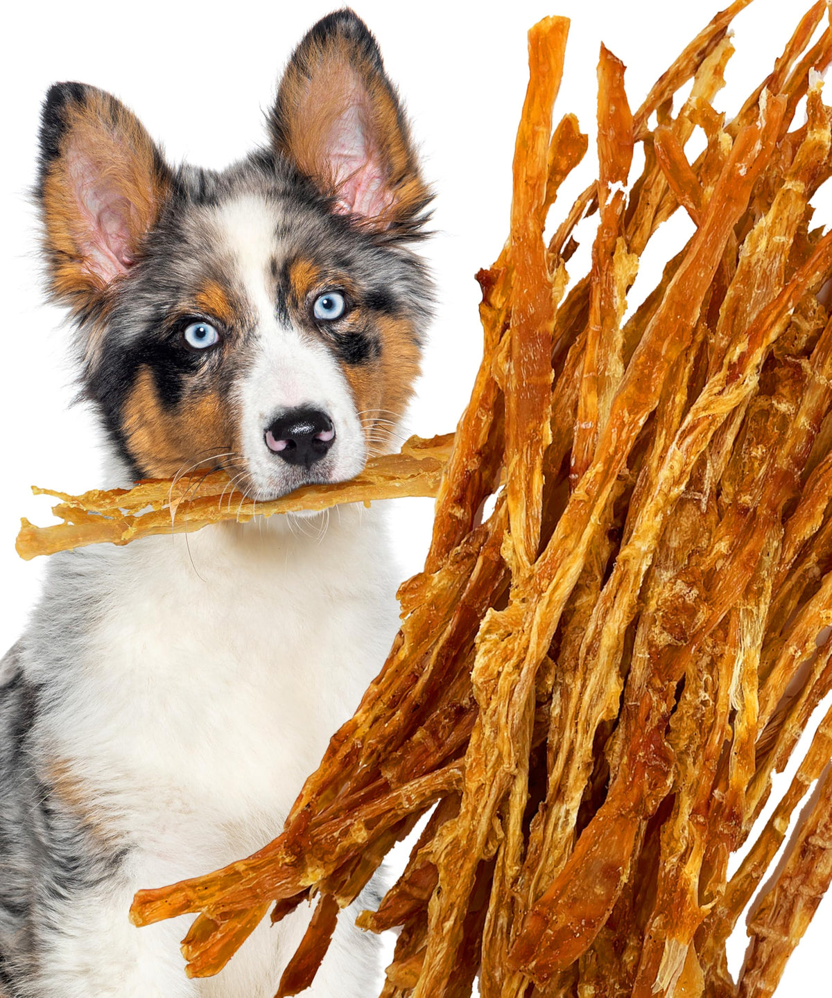 Lively Tails turkey tendons 6oz bag – convenient daily chew for dogs.