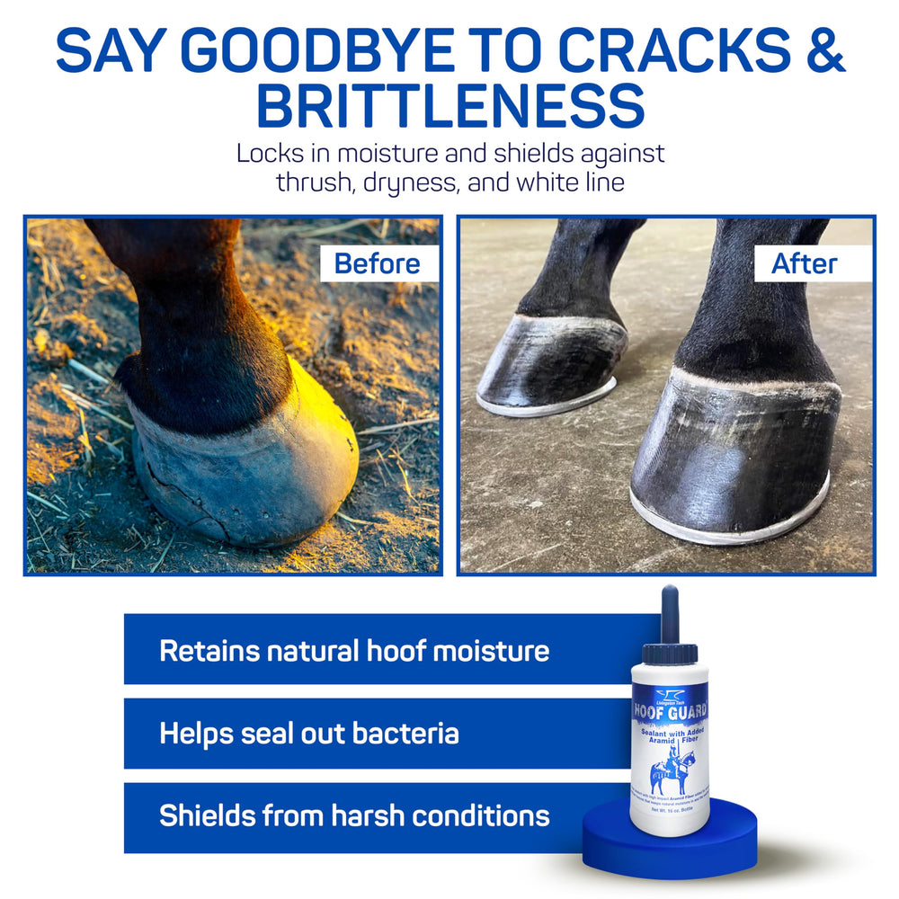Livingston Tech Hoof Guard sealing crack hoof image demonstrates crack repair support.
