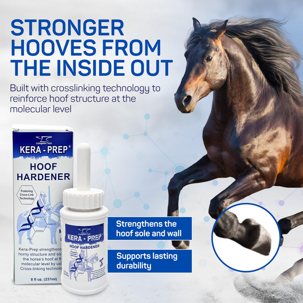 LivingstonTech Kera Prep Hoof Hardener prepping the hoof surface for sealant adhesion.
