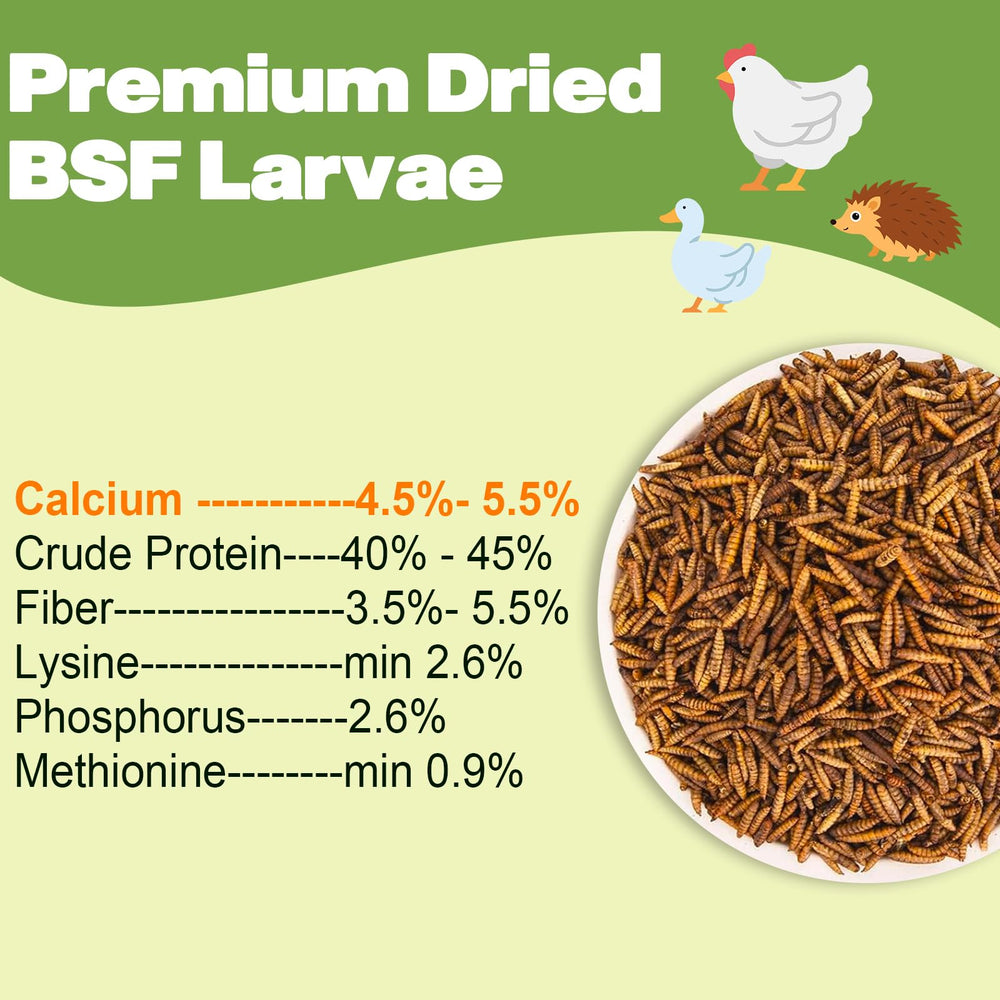 LIWII BSF larvae dried closeup highlights texture and protein-rich nutrients.