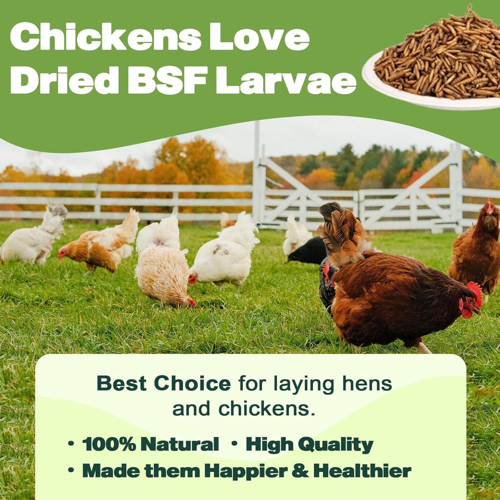 LIWII BSF larvae packaging back view highlights non-GMO natural chicken feed.