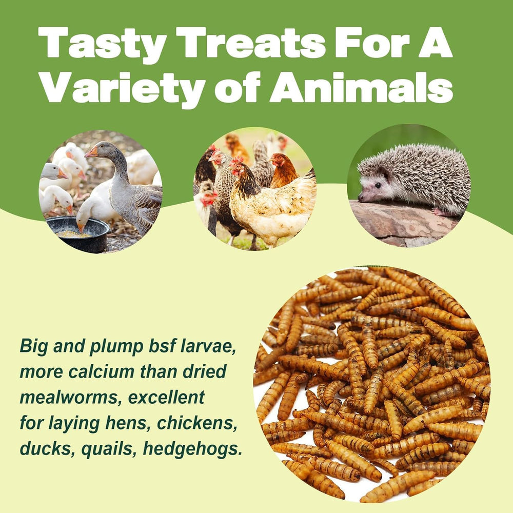 LIWII BSF larvae in assorted-use mix supports reptile and bird diets.