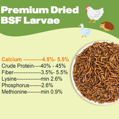 LIWII BSF larvae texture close-up showcases rich protein source for potential egg production.