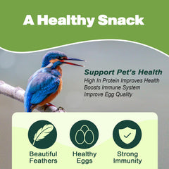 LIWII dried mealworms for chickens feeding scene showing a tasty treat.