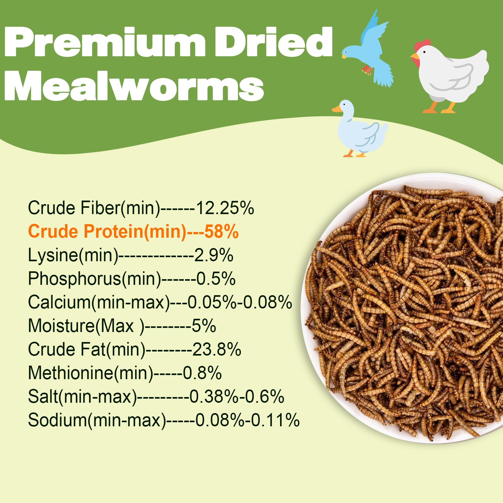LIWII dried mealworms closeup showing plump worms for high-protein treats