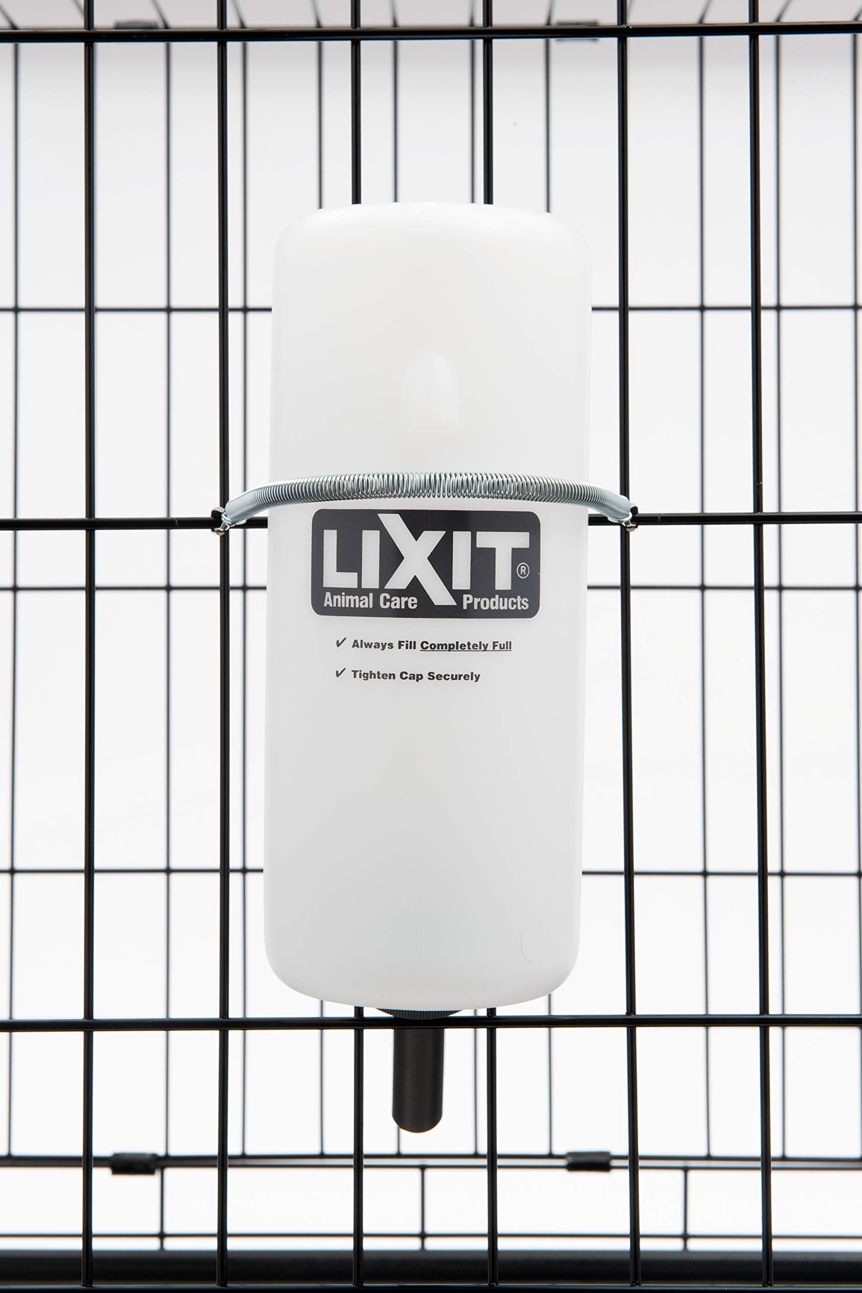 Easy-fill design supports quick hydration during outdoor walks or kennel routines.