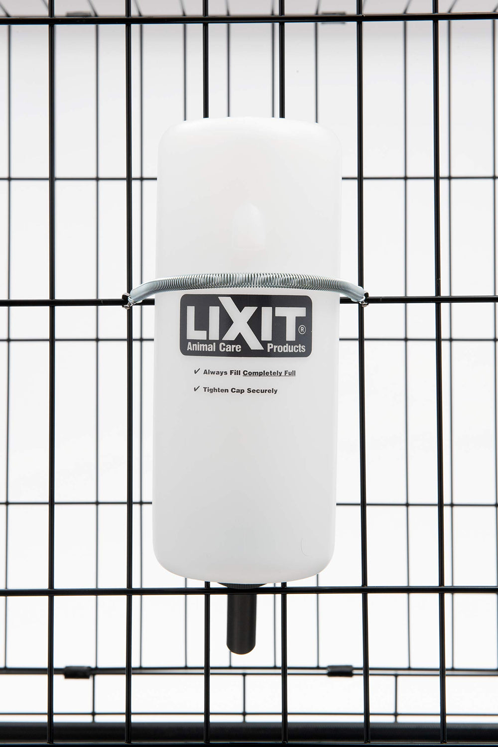 Easy-fill design supports quick hydration during outdoor walks or kennel routines.