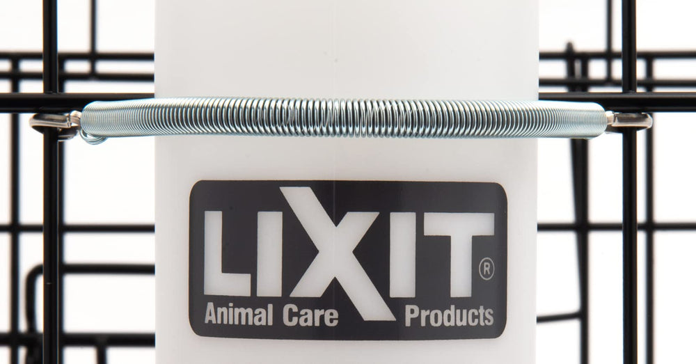 Lixit spring fit 32-ounce bottle designed for long-lasting hydration on adventures