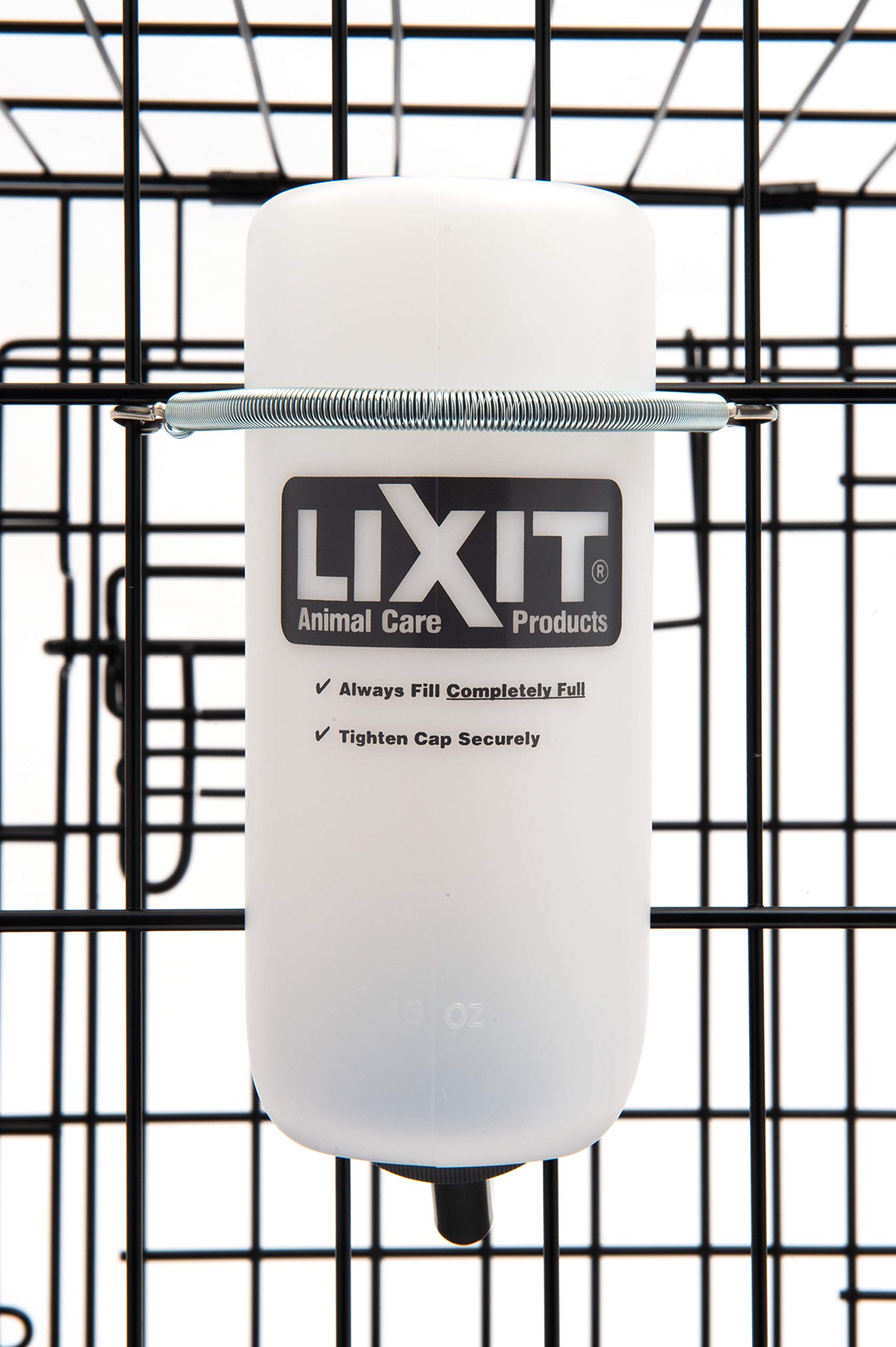 Lixit 16oz white bottle ideal for toy breeds hydration