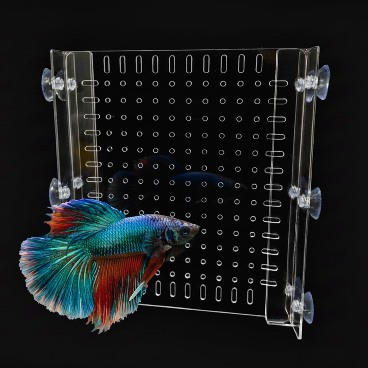LIYAOLI acrylic fish tank divider assembly for easy 10-gallon setup