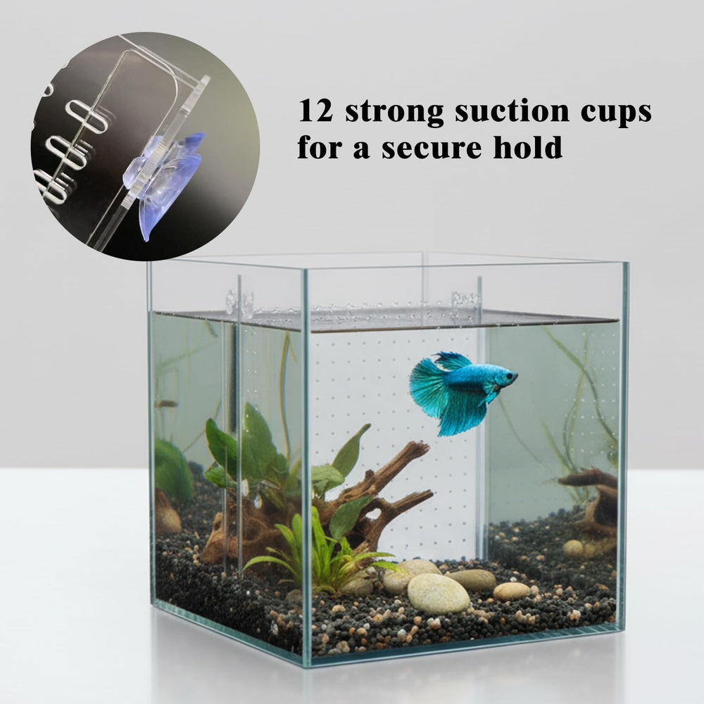 LIYAOLI divider with water-flow design supports healthy circulation