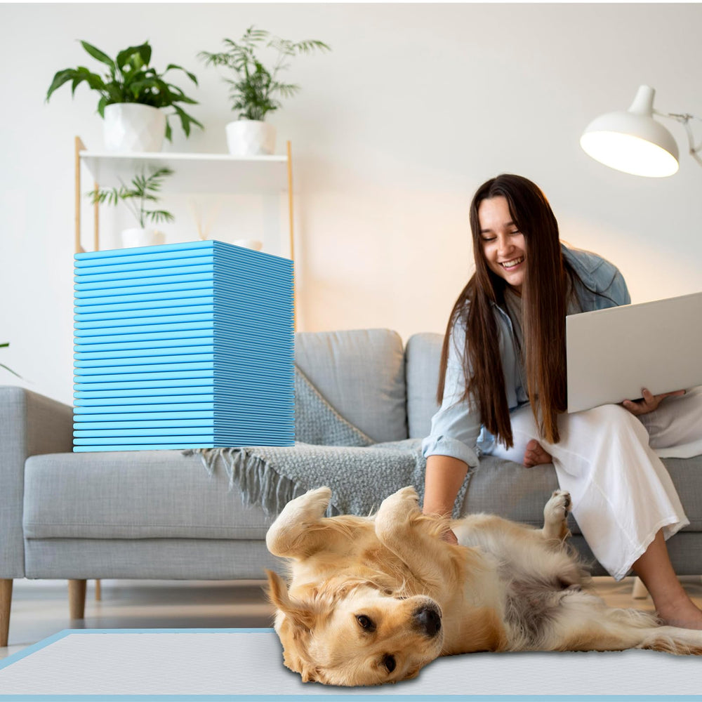 LIYINGSER 31x47 size suits multiple pets including rabbits and birds for training.