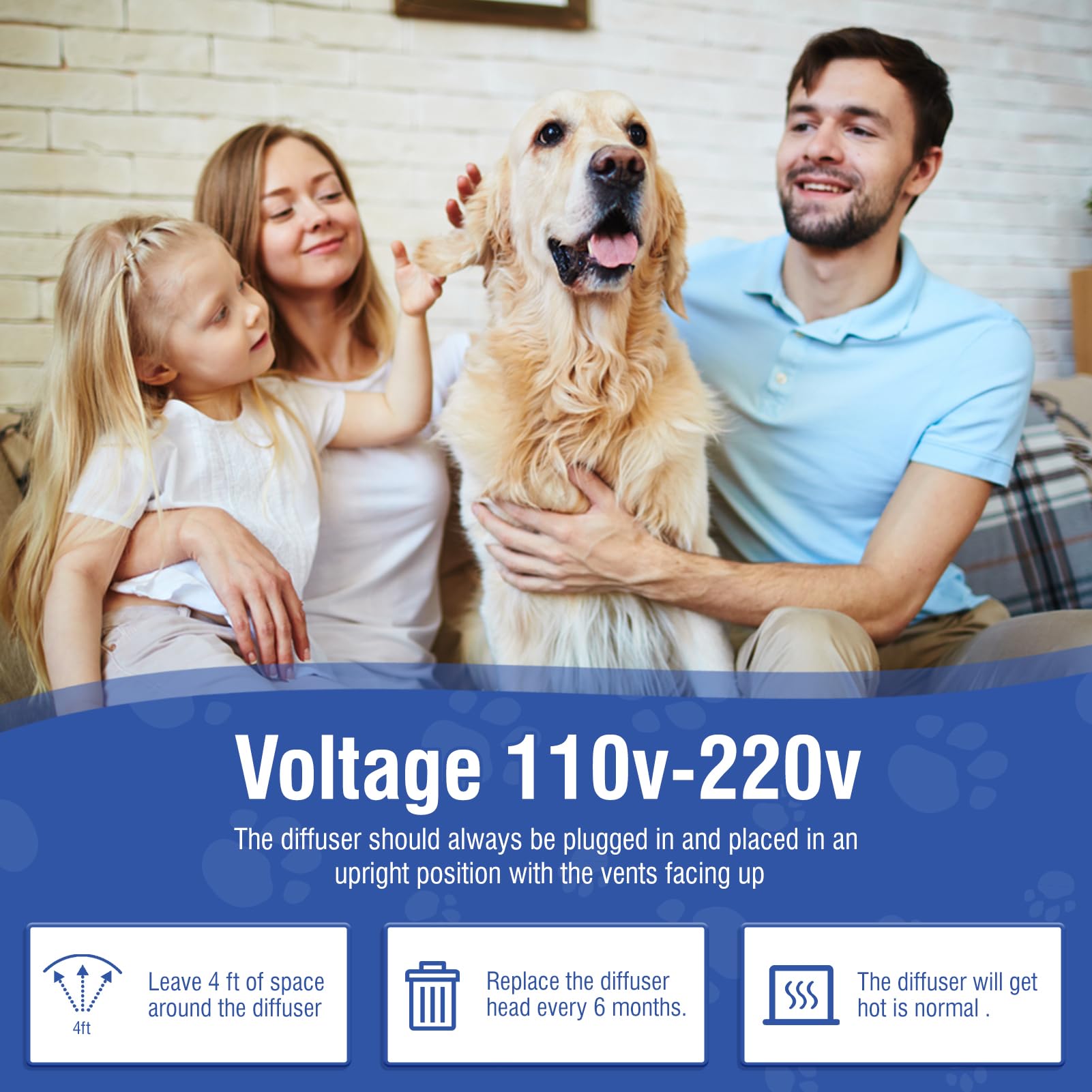 LKBHGF dog pheromone diffuser in-use during quiet evenings for stress relief