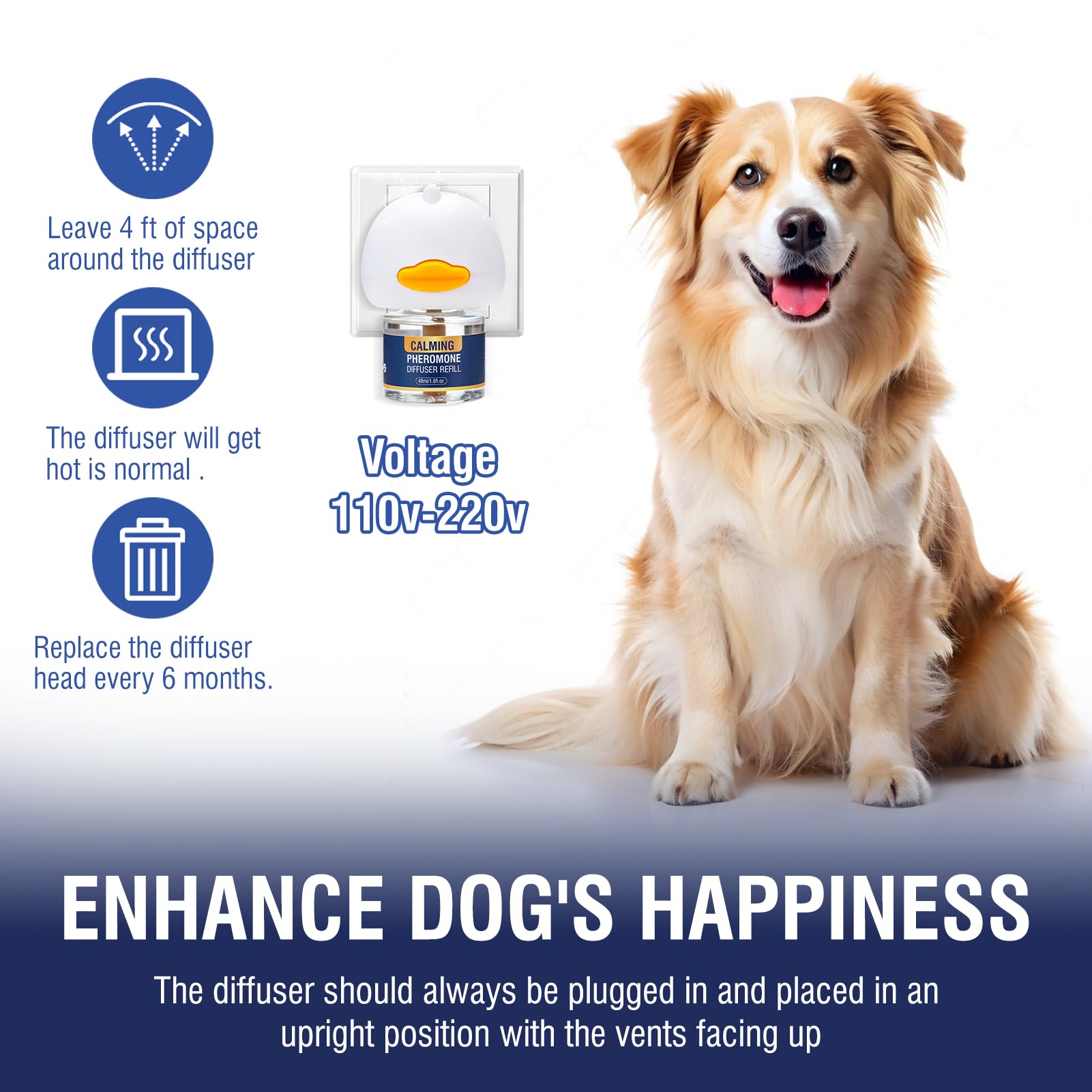 LKBHGF dog relaxation scene promotes peaceful evenings at home.