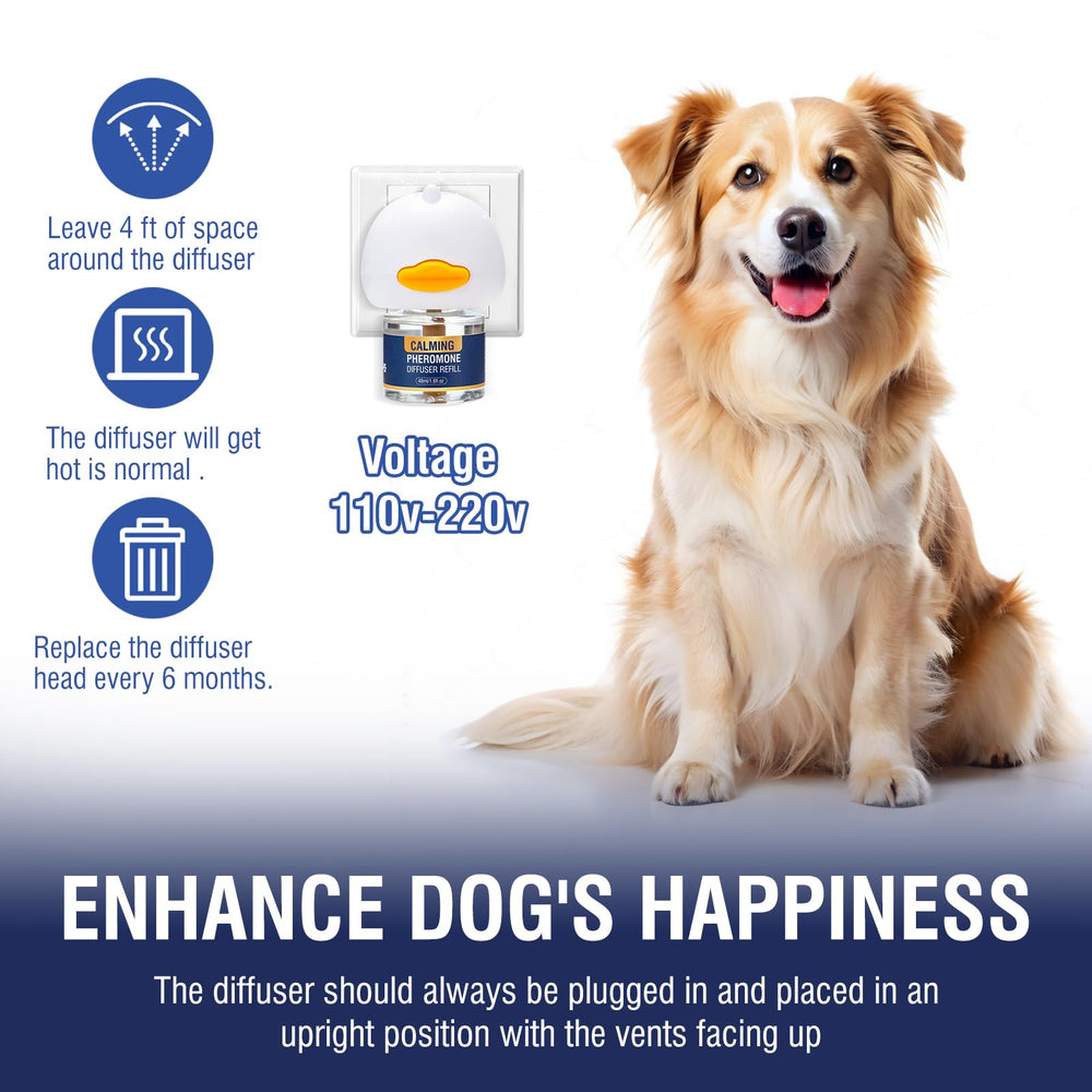 LKBHGF dog relaxation scene promotes peaceful evenings at home.