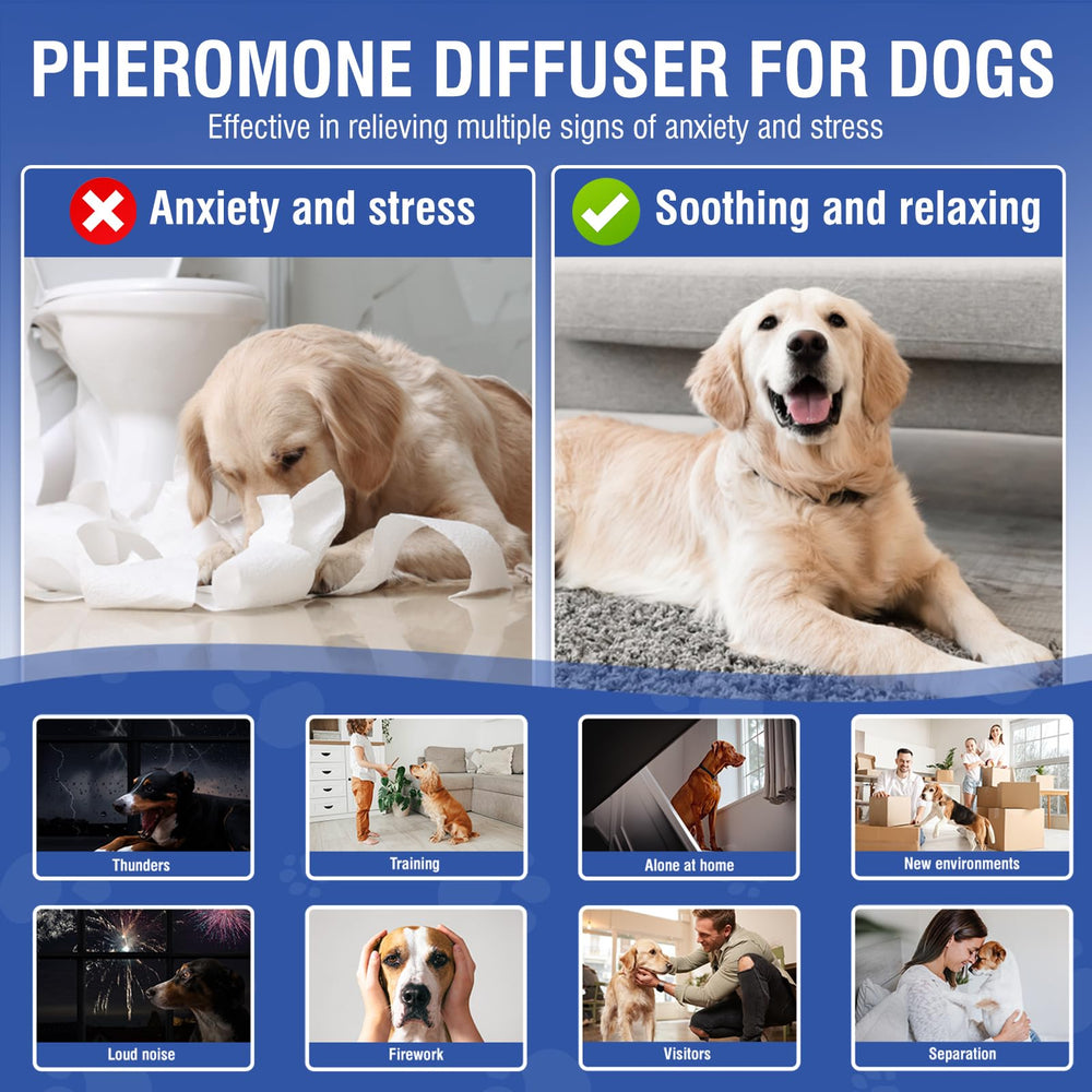 LKBHGF diffuser in use shows a relaxed dog in the living room