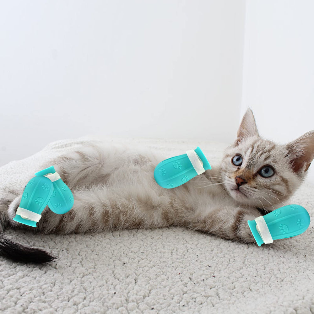 LLMSIX blue cat paw boots protecting paws during vet visits at home