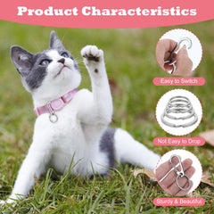 LLOUSSAK heavy duty ring clip attachment demonstrates secure collar fit.