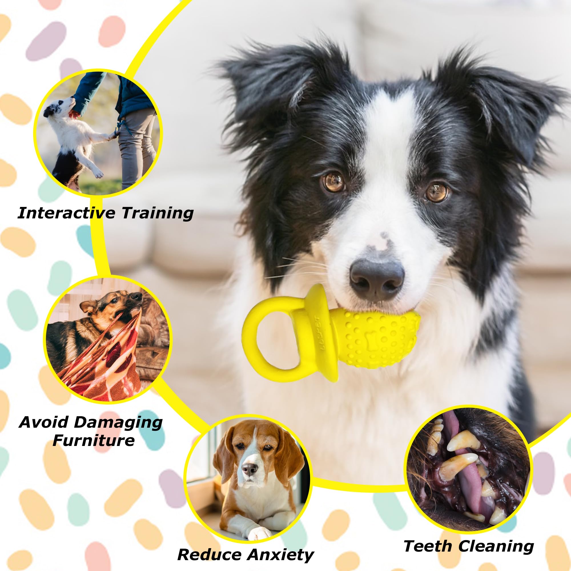 LLSPET bright colors and squeaker visible for indoor play