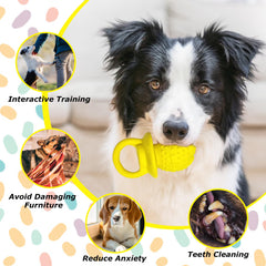 LLSPET bright colors and squeaker visible for indoor play