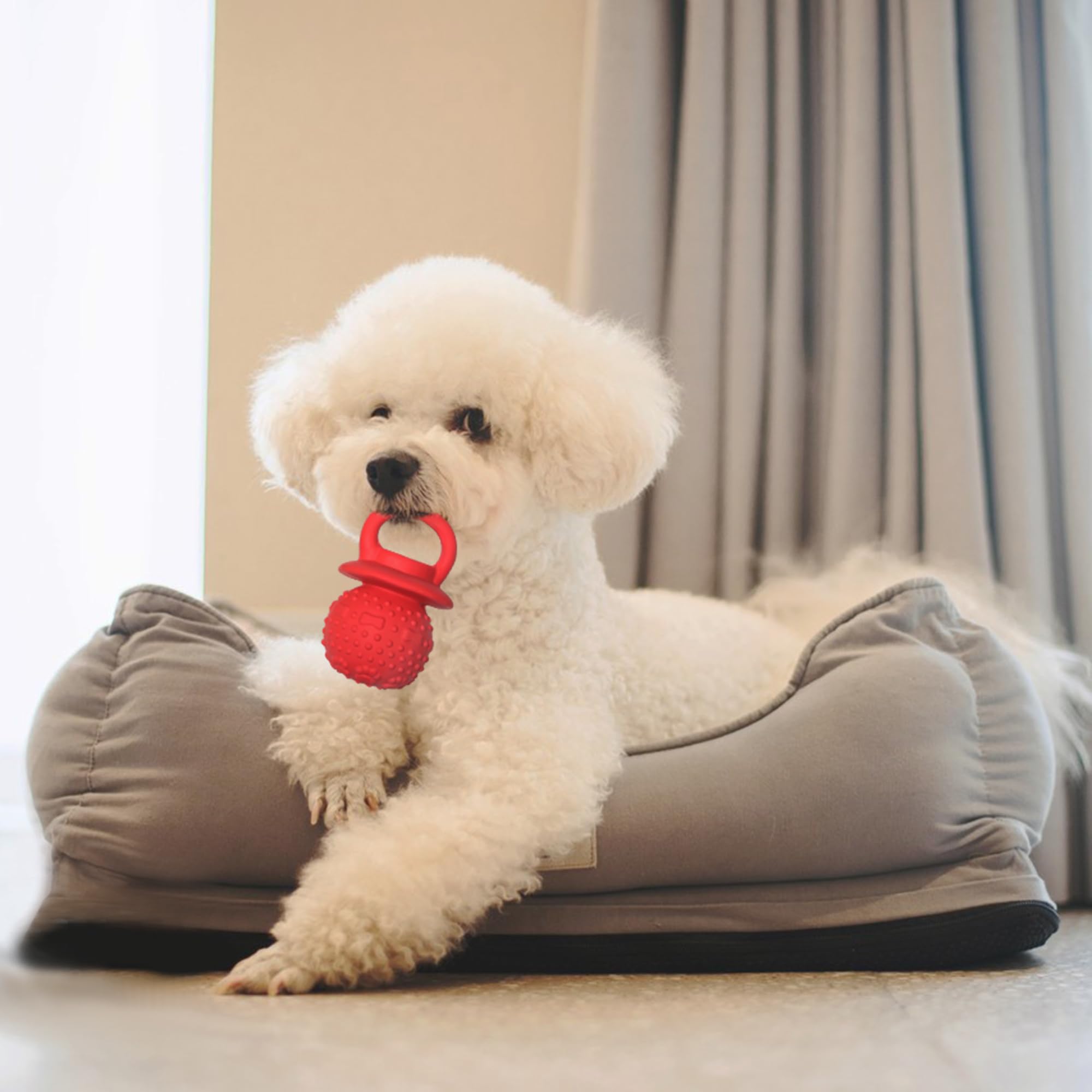 LLSPET latex toy suitable for small, medium, and large dogs with gentle temperaments.