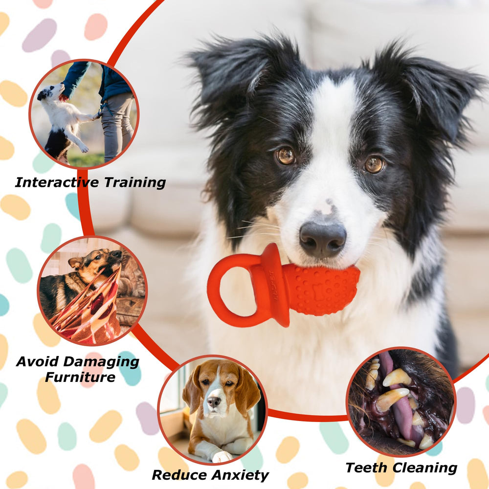 LLSPET latex toy with soft shell and cotton filling offers gentle chew comfort.