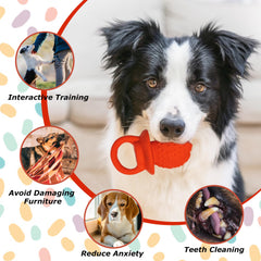 LLSPET latex toy with soft shell and cotton filling offers gentle chew comfort.