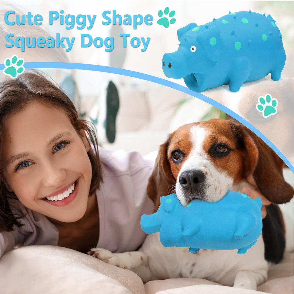LLSPET squeaky pig toy face detail shows friendly expression to entice pets