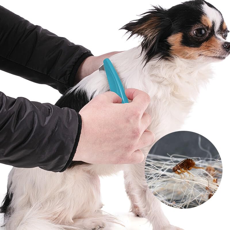 LLTGMV flea comb removing loose fur and debris to support coat health checks.