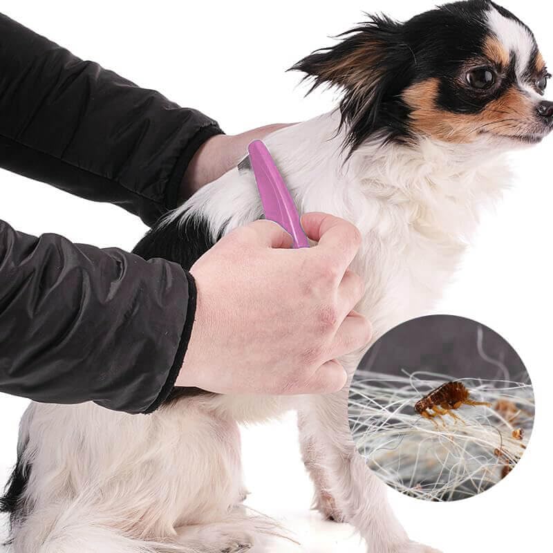 LLTGMV flea comb close-up on face, ears, and paws for sensitive grooming.