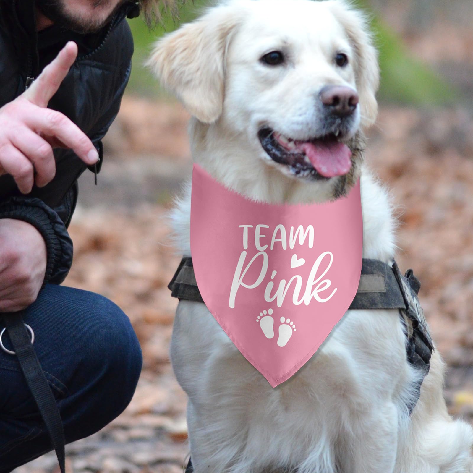 Lmaurrizt Team Pink Bandana care guide showing machine washability