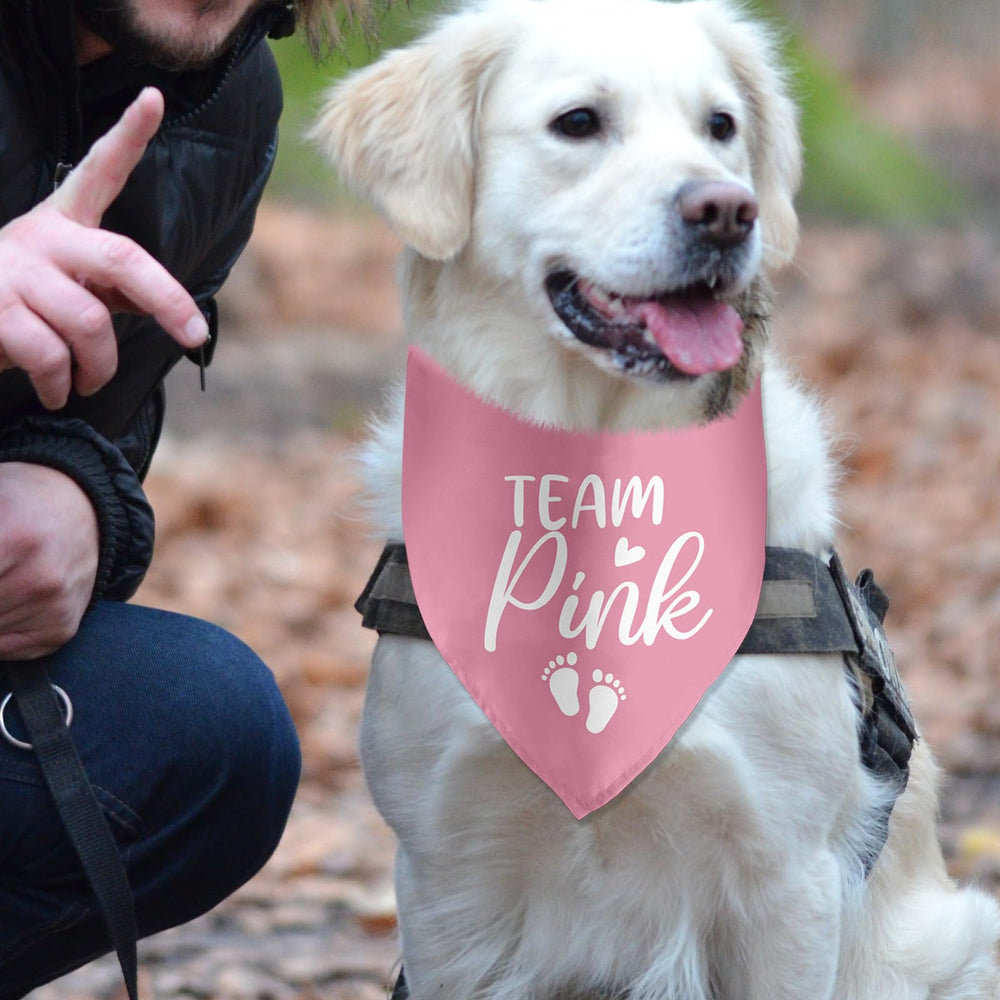 Lmaurrizt Team Pink Bandana care guide showing machine washability
