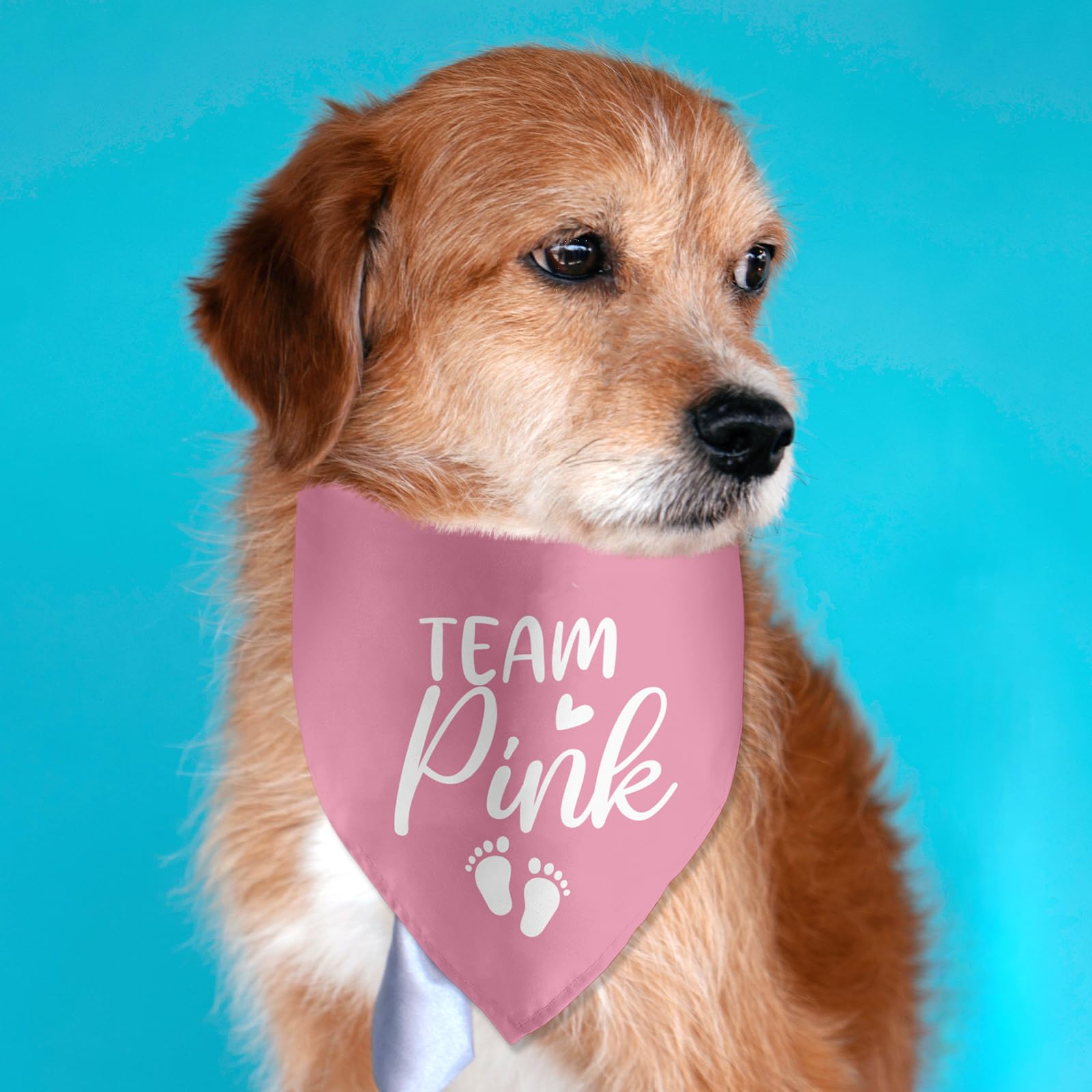 Lmaurrizt Team Pink Bandana in a family photo celebrating a joyful moment