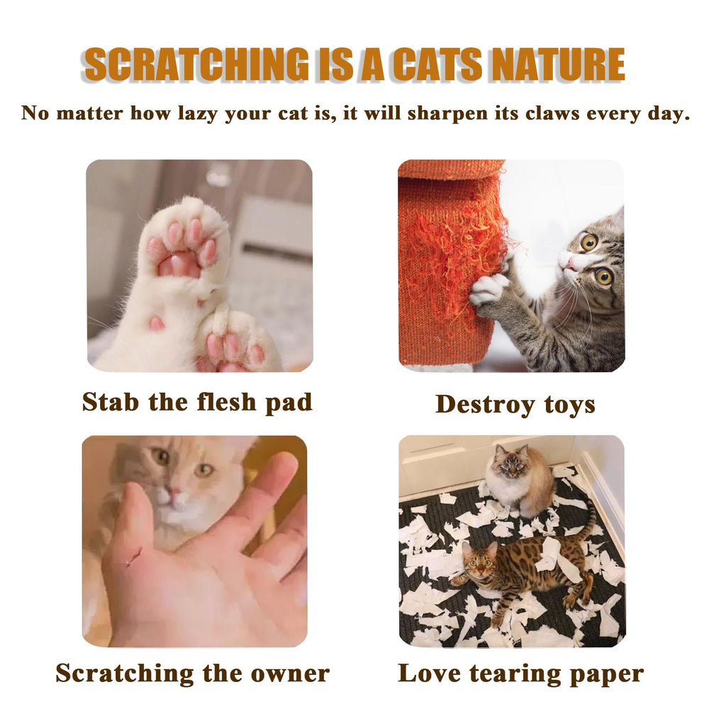 Lmipki Twisty Paws spiral option creates dynamic play paths.