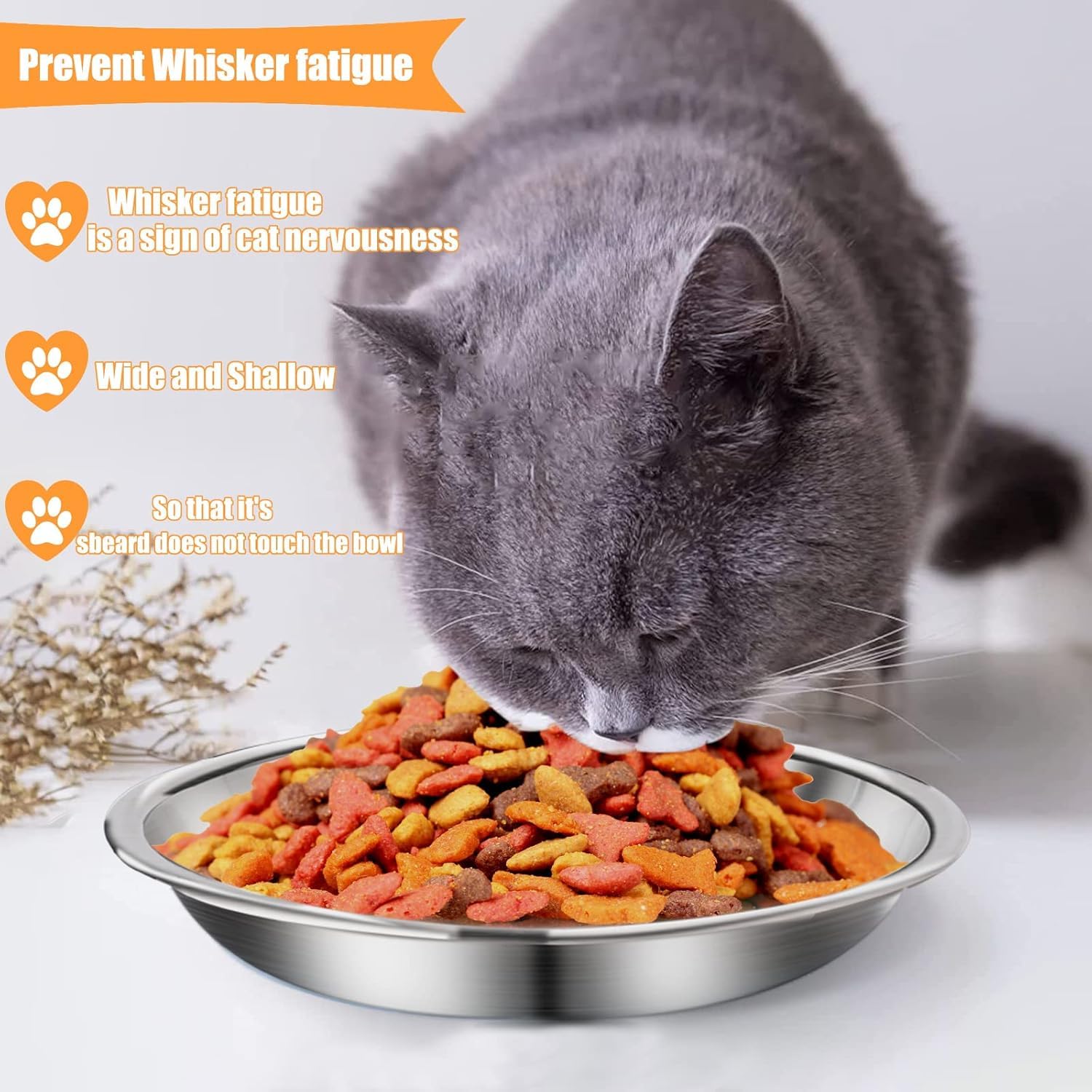 Lmisraely rust-resistant metal bowls highlight durable, reusable feeding option.