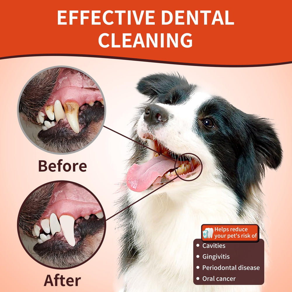 LMLMY dog wipes on-the-go for travel care.