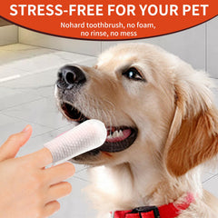 LMLMY dog dental wipes are pre-moistened for quick cleansing.