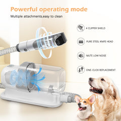 LMVVC pet grooming kit includes 5 tools for efficient shedding grooming