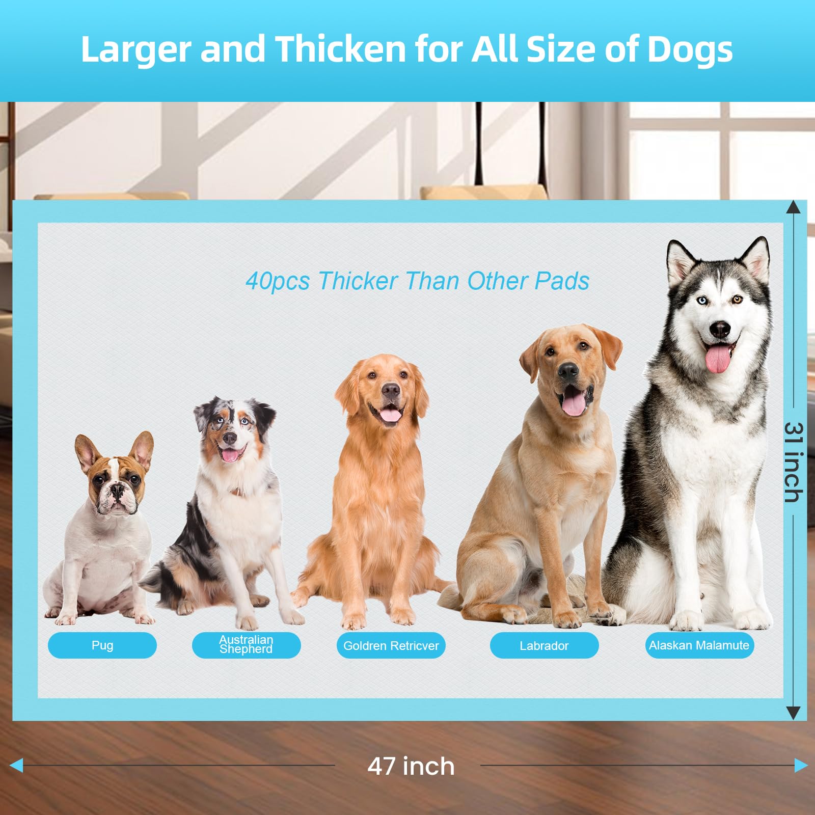 LNWJSRX Puppy Pee Pad XL multi-pet friendly for dogs cats rabbits