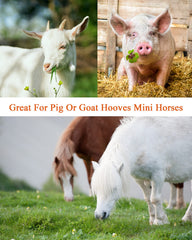 Loaged hoof rasp with double-sided teeth for versatile shaping and smoothing.