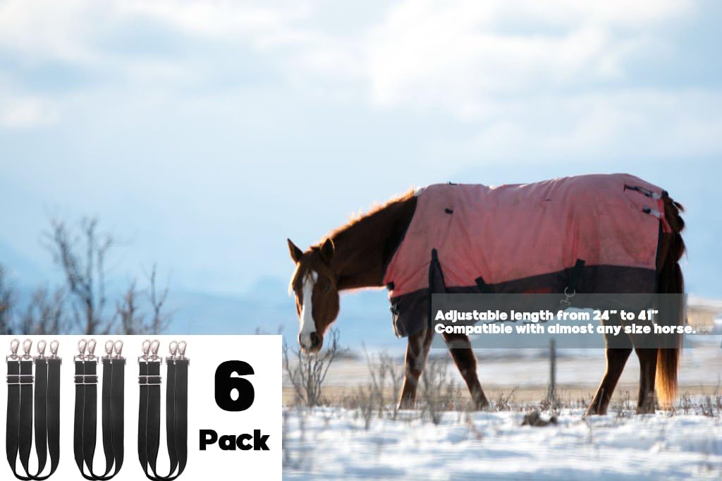 Loaged horse blanket compatibility image highlights universal fit across brands.